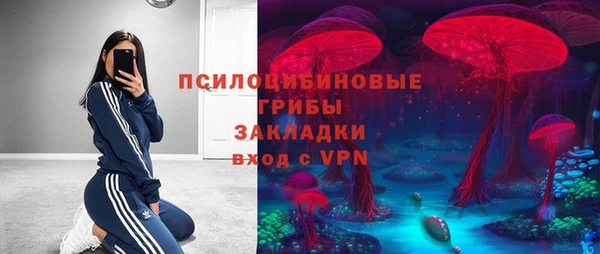 СК Абаза