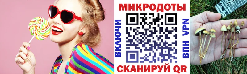 мега ТОР  наркотики  Хилок  Псилоцибиновые грибы прущие грибы 